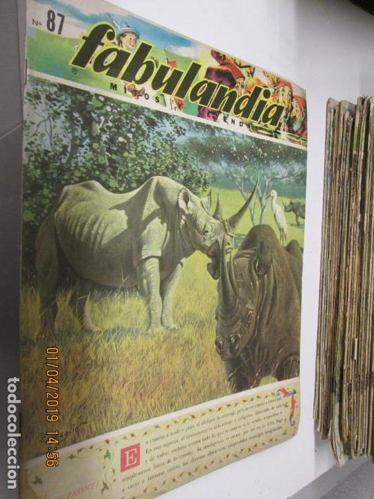 Libros de segunda mano: FABULANDIA - EDITORIAL CODEX 1963 N&ordm; 87  EL RINOCERONTE - Foto 1