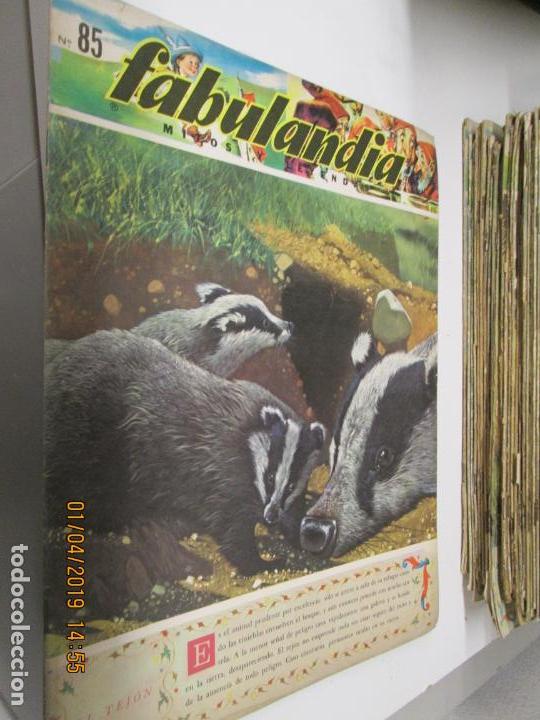 Libros de segunda mano: FABULANDIA - EDITORIAL CODEX 1963  N&ordm; 85 EL TEJON - Foto 1