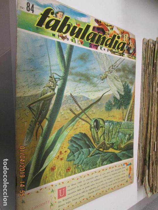 Libros de segunda mano: FABULANDIA - EDITORIAL CODEX 1963 N&ordm; 84 LA LANGOSTA - Foto 1