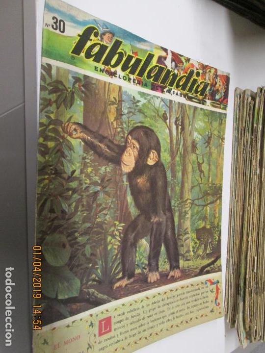 Libros de segunda mano: FABULANDIA - EDITORIAL CODEX 1963 N&ordm; 30 EL MONO , LA AVENTURA DE SIM - Foto 1