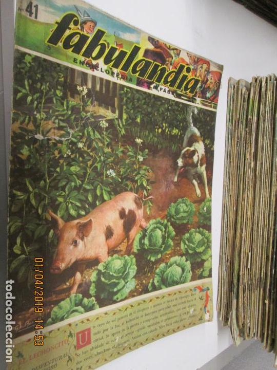 Libros de segunda mano: FABULANDIA - EDITORIAL CODEX 1963  N&ordm; 41 - EL LECHONCITO , LAS DESVENTURAS DE OJONEGRO - Foto 1