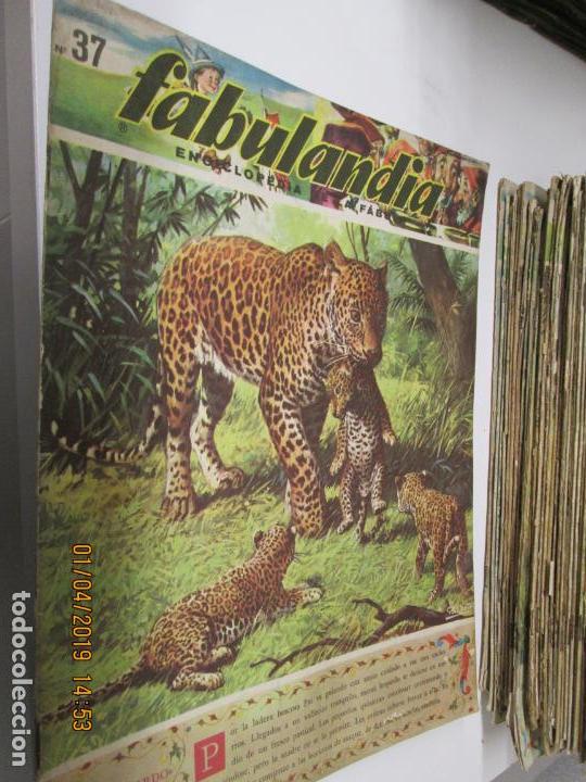 Libros de segunda mano: FABULANDIA - EDITORIAL CODEX 1963 N&ordm; 37  EL LEOPARDO , LA ESCUELA DE LOS LEOPARDOS - Foto 1