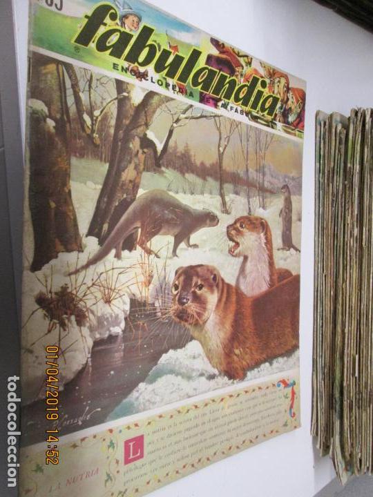 Libros de segunda mano: FABULANDIA - EDITORIAL CODEX 1963  N&ordm; 65 LA NUTRIA - Foto 1