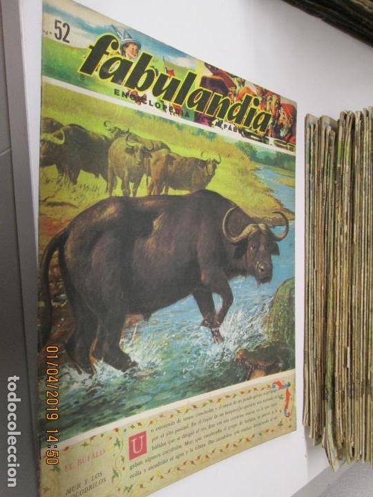Libros de segunda mano: FABULANDIA - EDITORIAL CODEX 1963 N&ordm; 52 - EL BUFALO , MUR Y LOS COCODRILOS - Foto 1