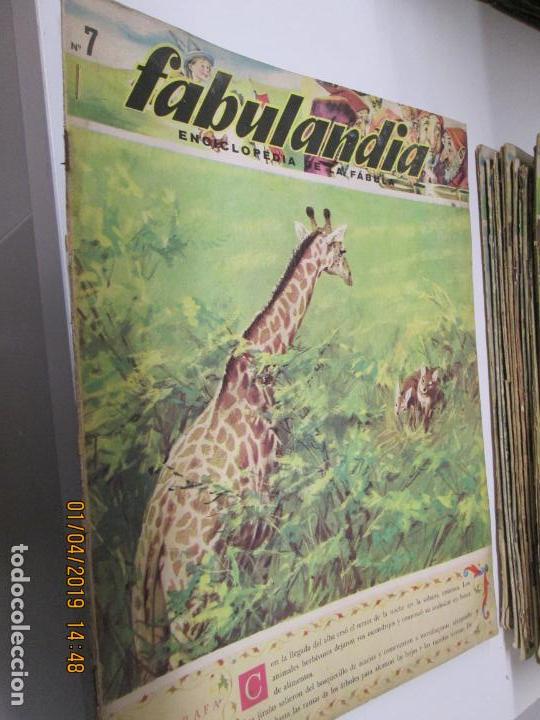 Libros de segunda mano: FABULANDIA - EDITORIAL CODEX 1963 N&ordm; 7 - LA JIRAFA , BARONGA LA GUARDIANA - Foto 1