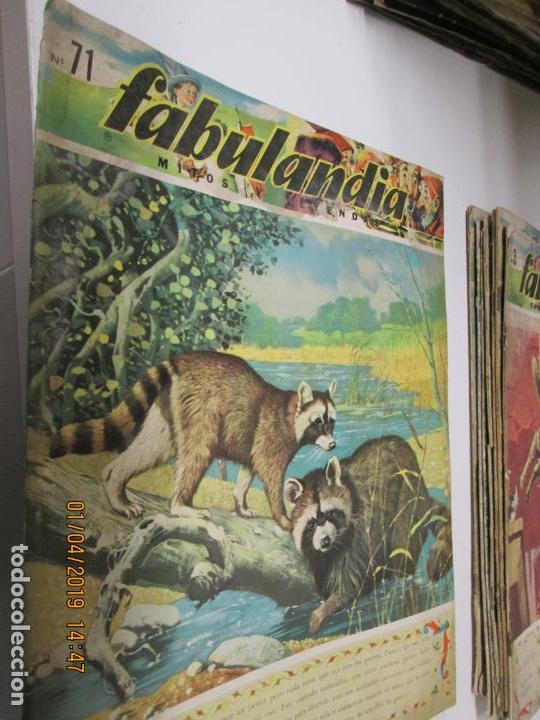 Libros de segunda mano: FABULANDIA - EDITORIAL CODEX 1963 N&ordm; 71 EL MAPACHE - Foto 1