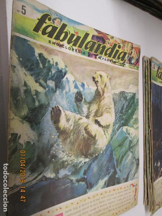 Libros de segunda mano: FABULANDIA - EDITORIAL CODEX 1963  N&ordm; 5 -  EL OSO , GLUCK QUIERE COMER - Foto 1