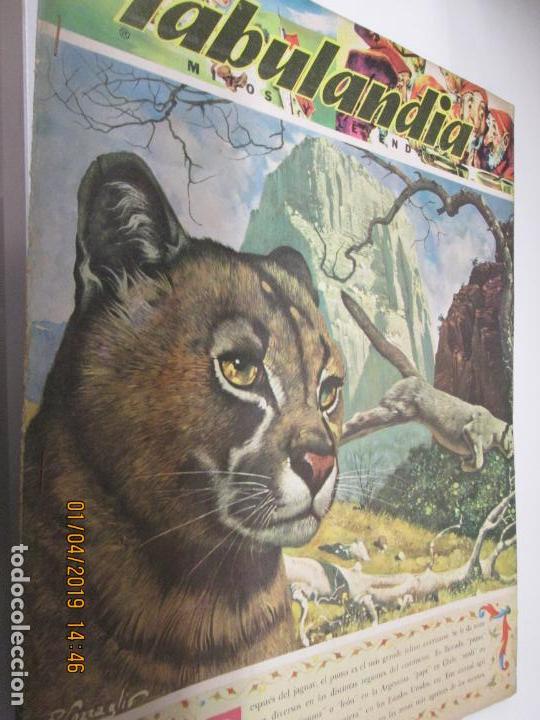 Libros de segunda mano: FABULANDIA - EDITORIAL CODEX 1963  N&ordm; 68 - EL PUMA - Foto 1