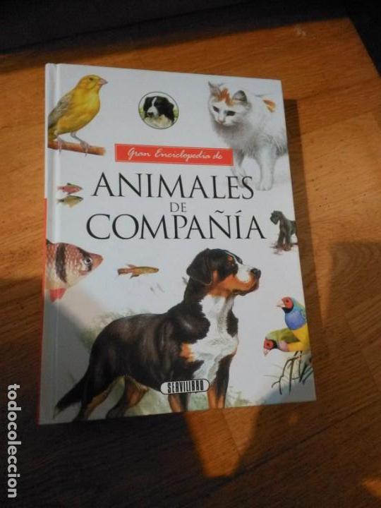 Libros de segunda mano: Gran enciclopedia Animales de compa&ntilde;&iacute;a. Servilibro. - Foto 1