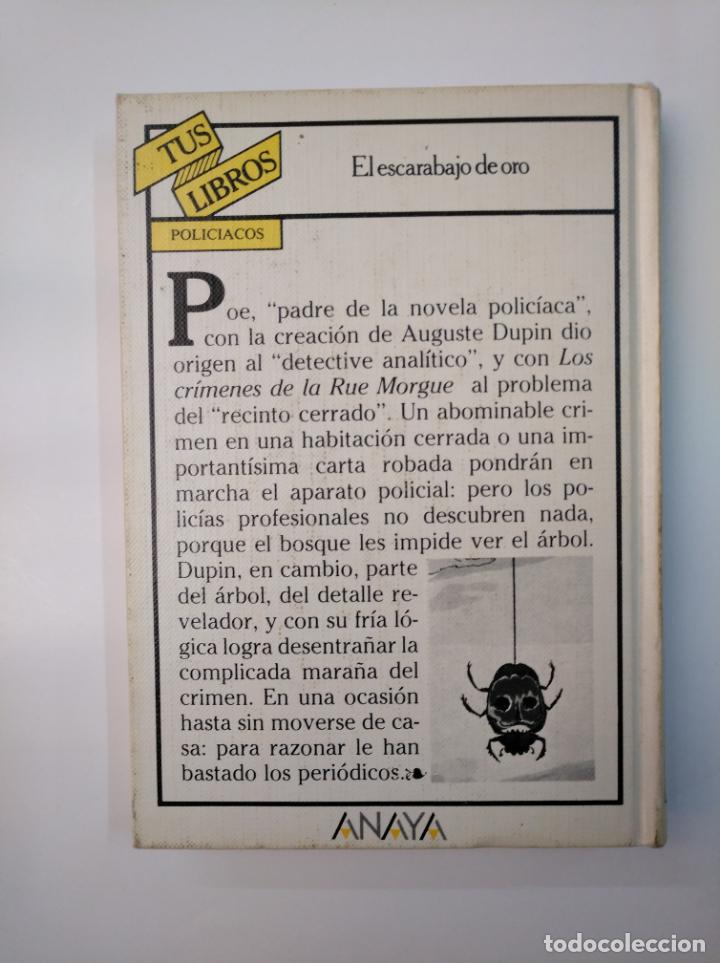 El Escarabajo De Oro Preguntas Y Respuestas