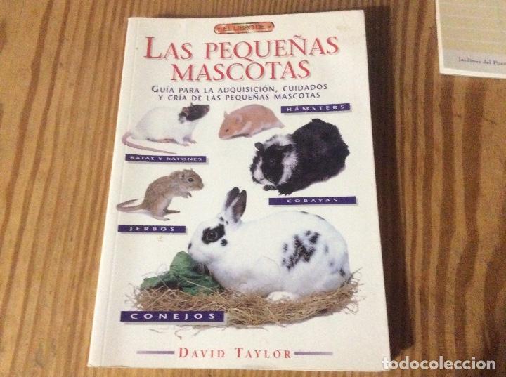 Libros de segunda mano: El libro de LAS PEQUE&Ntilde;AS MASCOTAS David Taylor - Foto 1