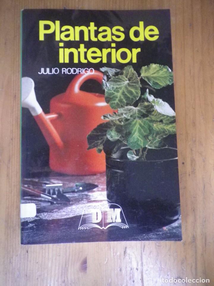 Libros de segunda mano: PLANTAS DE INTERIOR JULIO RODRIGO DM 1992 - Foto 1