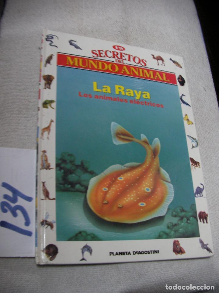 Libros de segunda mano: SECRETOS EL MUNDO ANIMAL - LA RAYA - Foto 1