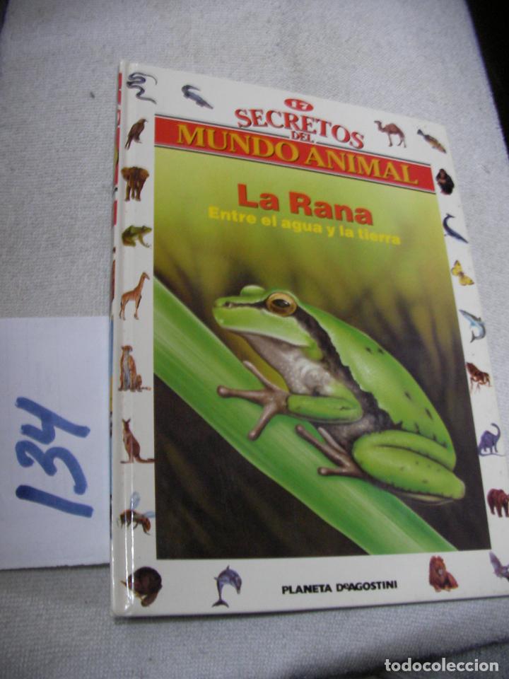 Libri di seconda mano: SECRETOS EL MUNDO ANIMAL - LA RANA