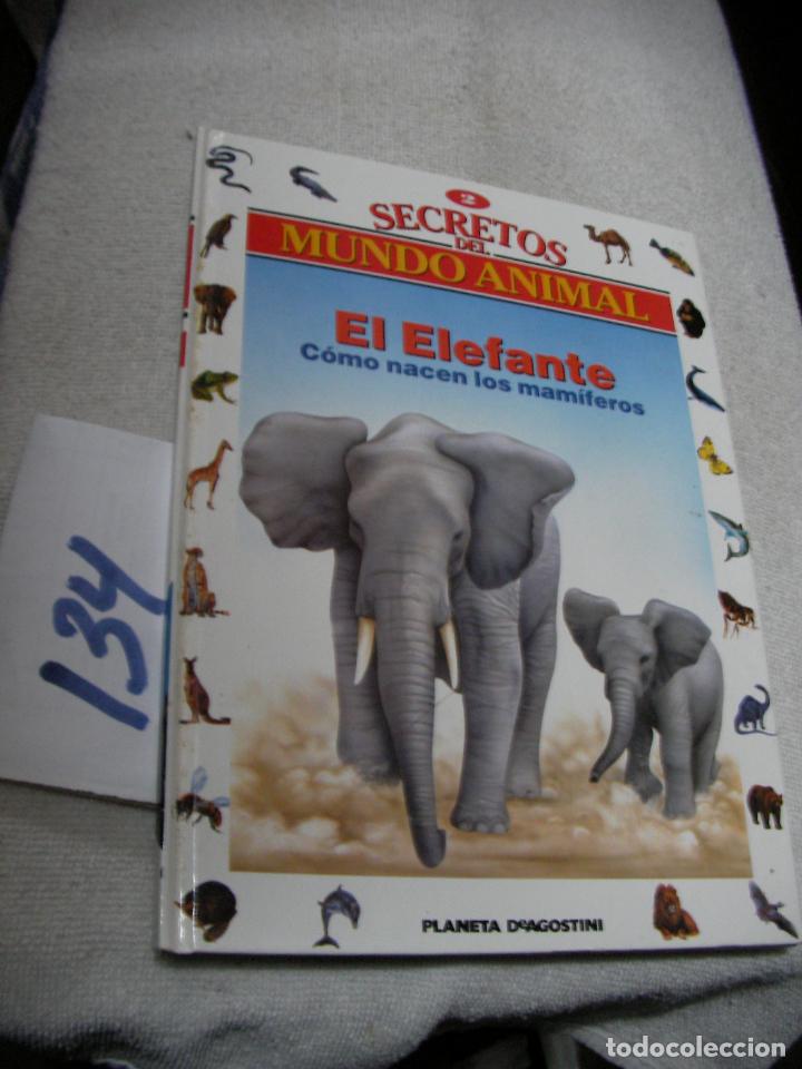 Libri di seconda mano: SECRETOS EL MUNDO ANIMAL - EL ELEFANTE