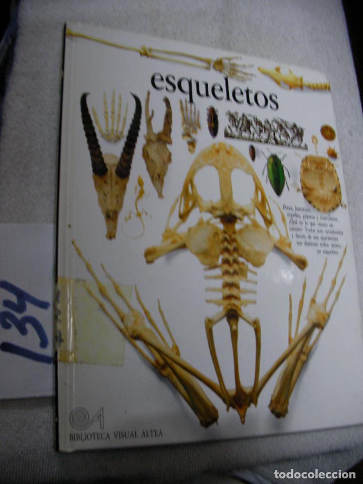 Libros de segunda mano: ESQUELETOS - LIBRO DESPLEGABLE - Foto 1