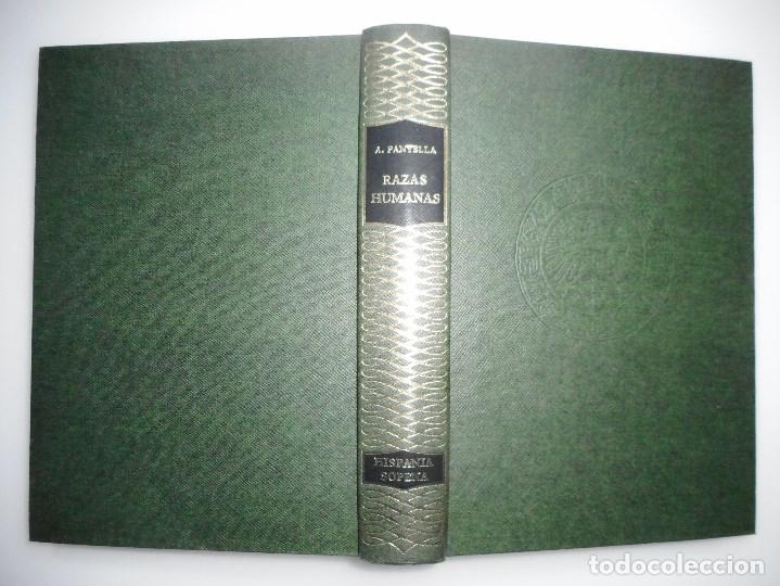 Libros de segunda mano: AUGUSTO PANYELLA    Razas humanas    Y92051 - Foto 1
