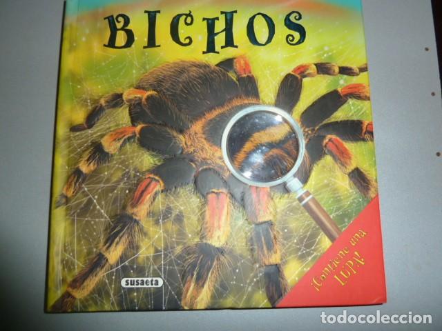 Libros de segunda mano: Bichos. Libro educativo. Ed.Susaeta - Foto 1