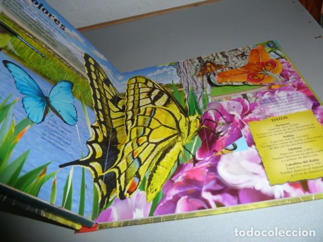 Libros de segunda mano: Bichos. Libro educativo. Ed.Susaeta - Foto 3