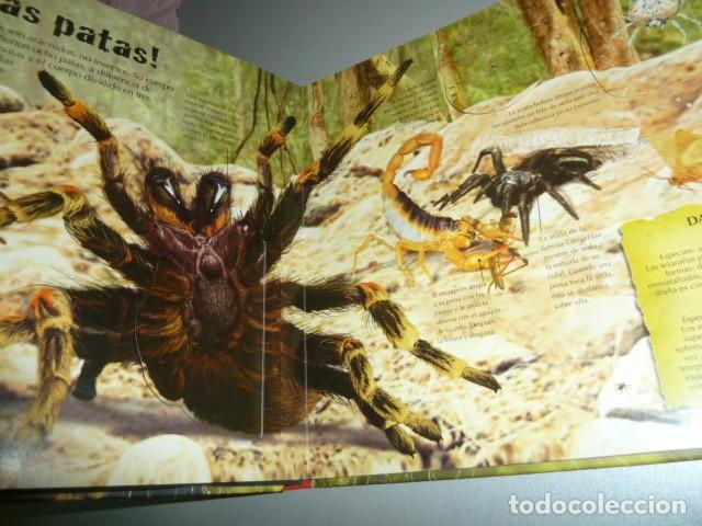 Libros de segunda mano: Bichos. Libro educativo. Ed.Susaeta - Foto 5