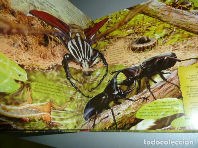 Libros de segunda mano: Bichos. Libro educativo. Ed.Susaeta - Foto 6