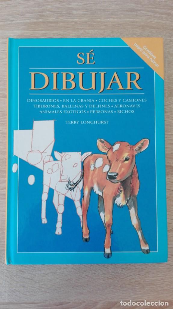 Libros de segunda mano: S&Eacute; DIBUJAR-TERRY LONGHURST-ED.PARRAG&Oacute;N-A&Ntilde;O 2004-NUEVO - Foto 1