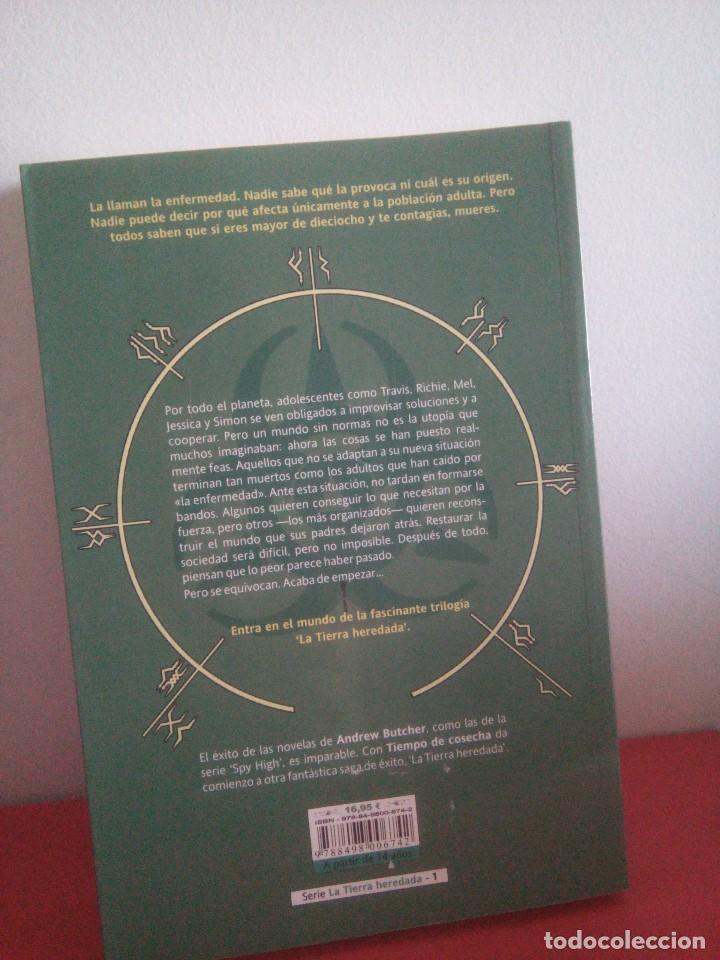 Libros de segunda mano: Tiempo de cosecha - Andrew Butcher - Nuevo - Foto 2