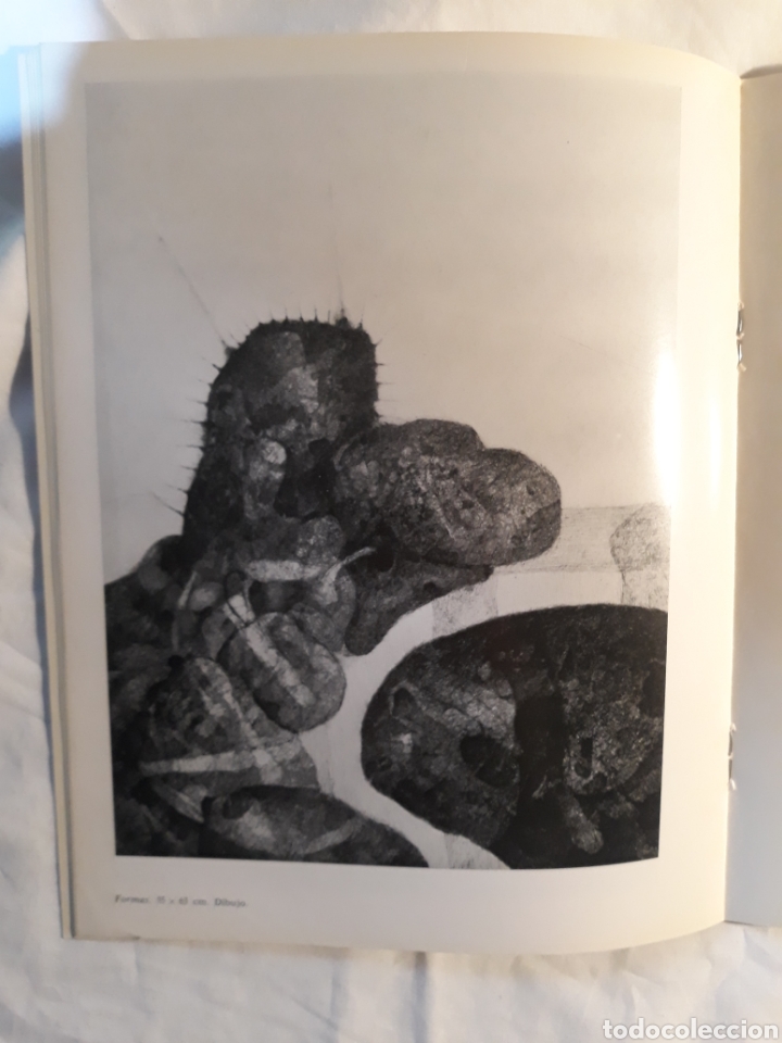 Libros de segunda mano: Catalogo de la exposicion Enrique Brinkmann 1972 Madrid. - Foto 11
