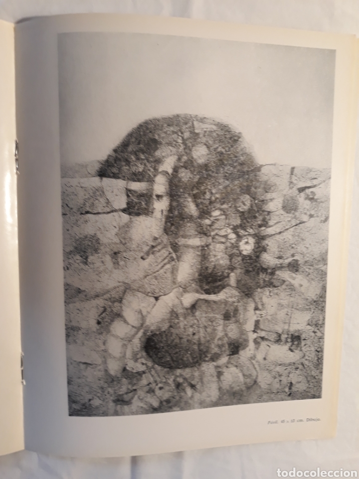 Libros de segunda mano: Catalogo de la exposicion Enrique Brinkmann 1972 Madrid. - Foto 12