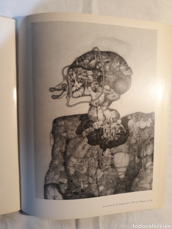 Libros de segunda mano: Catalogo de la exposicion Enrique Brinkmann 1972 Madrid. - Foto 18