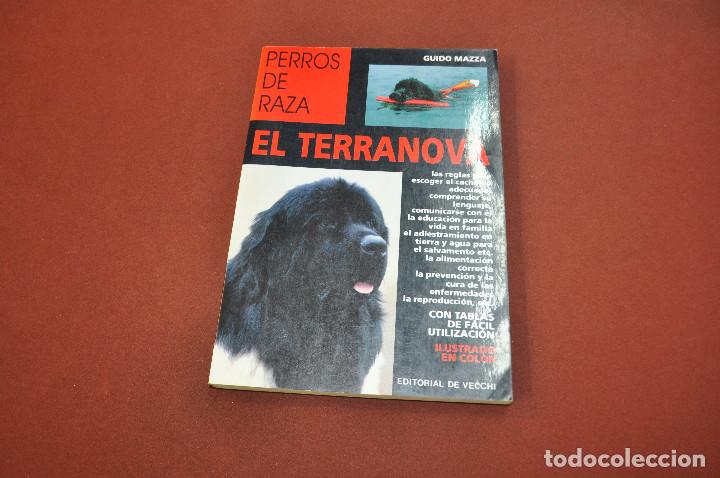 Libros de segunda mano: perros de raza , el terranova editorial vecchi - AN3 - Foto 1