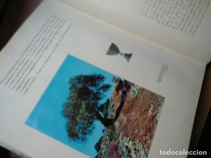 Libros de segunda mano: Los viajes de ulises - Album nestle - Foto 3