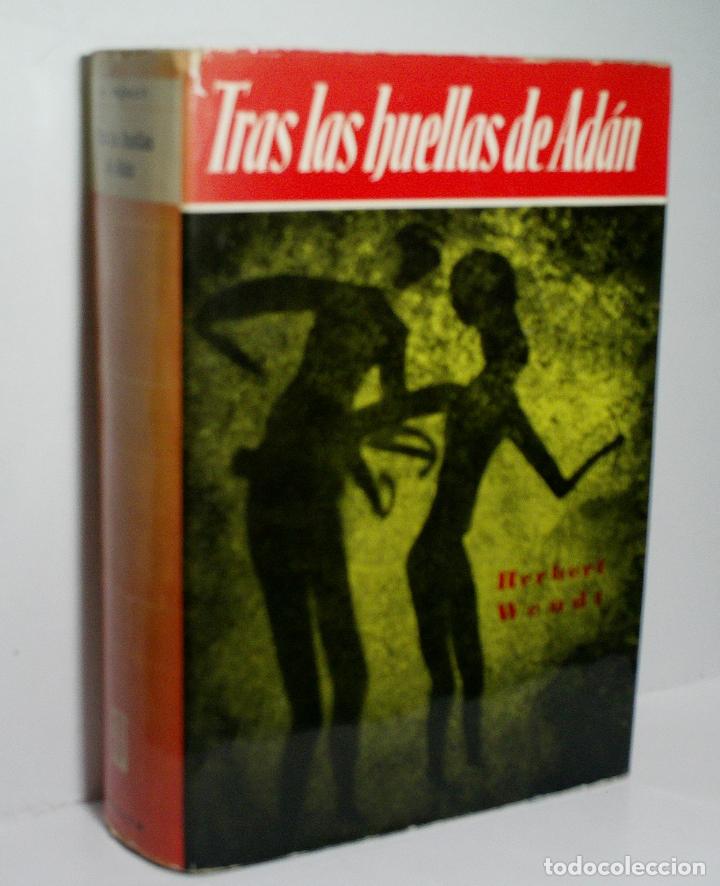 Libros de segunda mano: TRAS LA HUELLAS DE AD&Aacute;N. WENDT Herbert.. 1958 - Foto 1