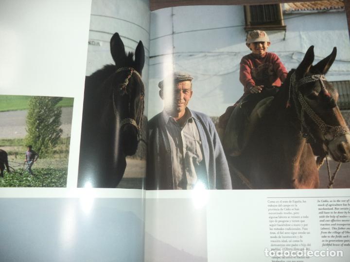 Libros de segunda mano: CADIZ. FOTOGRAFIAS. DANIEL AUBRY. 1992. - Foto 3