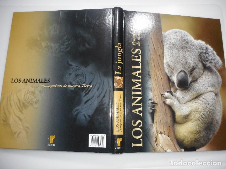 Libros de segunda mano: Los animales protagonistas de nuestra tierra    Y92404 - Foto 1