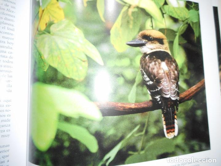 Libros de segunda mano: Los animales protagonistas de nuestra tierra    Y92404 - Foto 3
