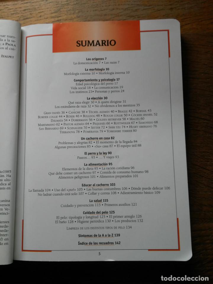 Libros de segunda mano: CUIDADO Y ADIESTRAMIENTO DEL PERRO, SUSAETA EDICIONES - Foto 3