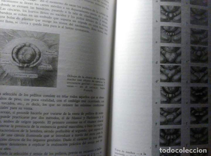Libros de segunda mano: Alojamientos y manejo de las AVES, J. A. Castell&oacute;, 1970 - Foto 9