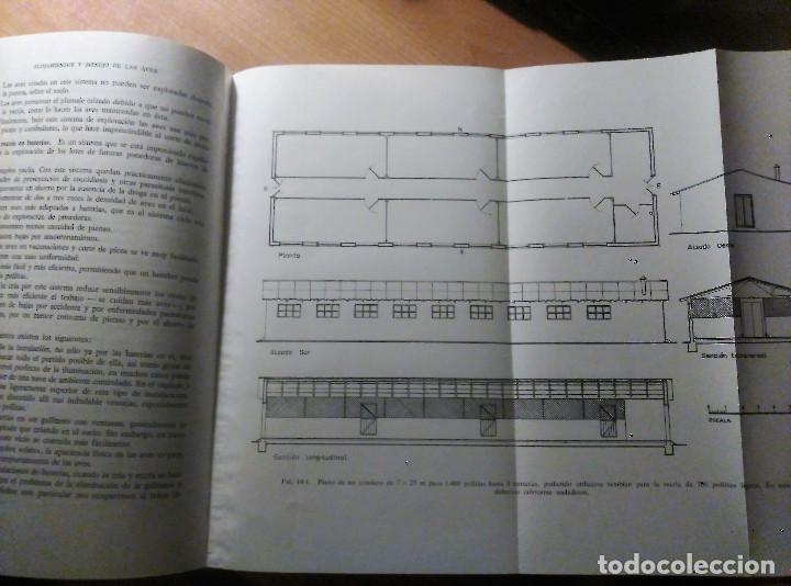 Libros de segunda mano: Alojamientos y manejo de las AVES, J. A. Castell&oacute;, 1970 - Foto 11