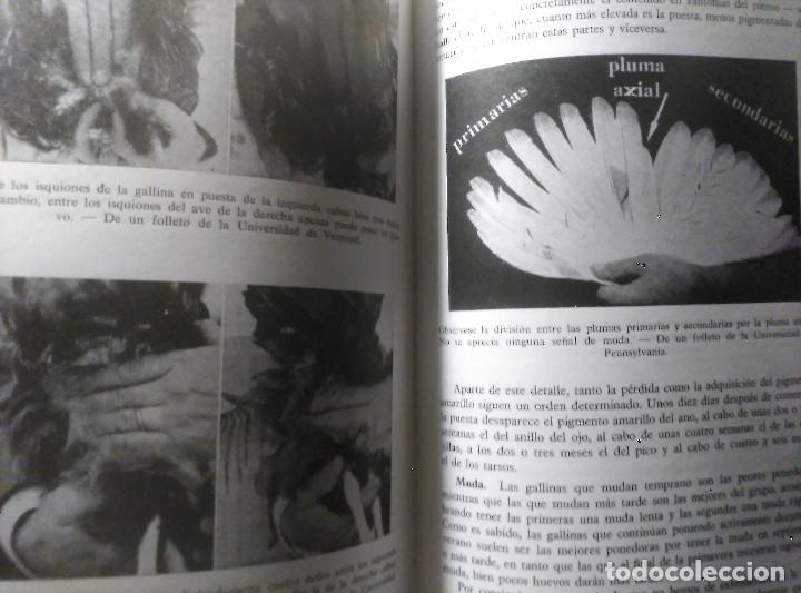 Libros de segunda mano: Alojamientos y manejo de las AVES, J. A. Castell&oacute;, 1970 - Foto 12