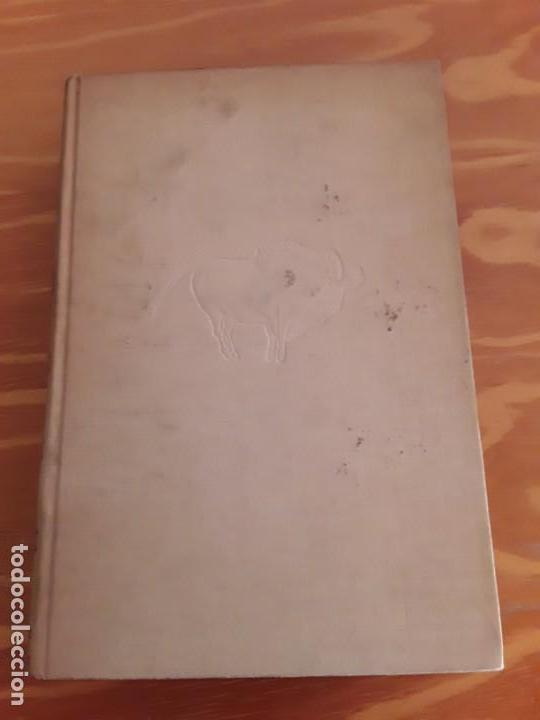 Libros de segunda mano: Las artes,hendrik w. Van loon.1956 - Foto 2