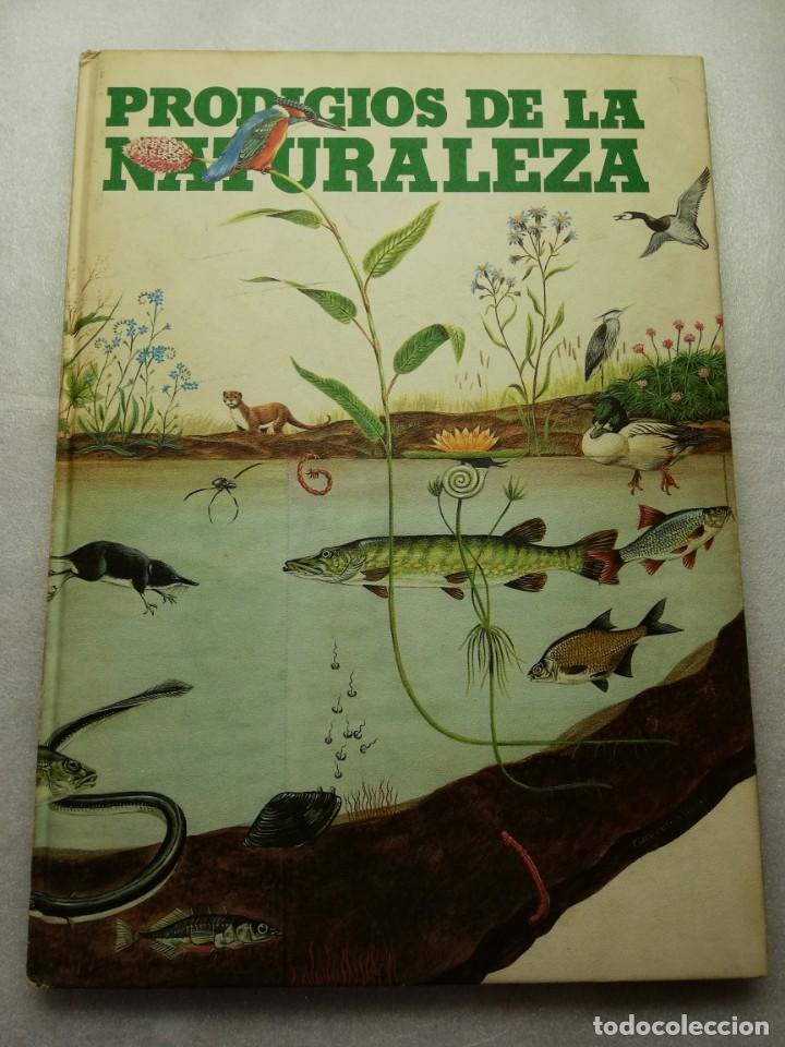 Libros de segunda mano: PRODIGIOS DE LA NATURALEZA C&Iacute;RCULO DE LECTORES 1976 TAPAS DURAS - Foto 1