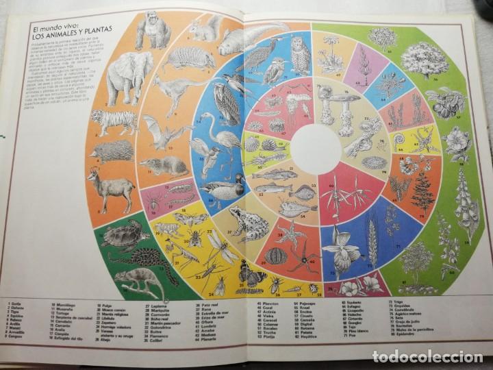 Libros de segunda mano: PRODIGIOS DE LA NATURALEZA C&Iacute;RCULO DE LECTORES 1976 TAPAS DURAS - Foto 4