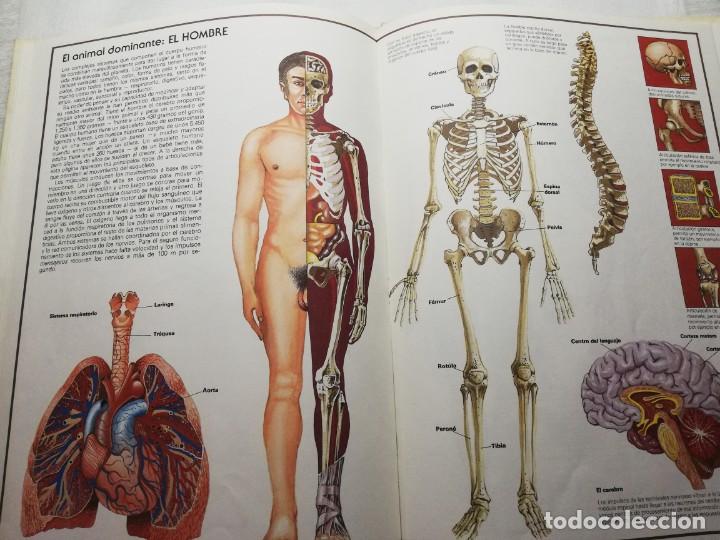 Libros de segunda mano: PRODIGIOS DE LA NATURALEZA C&Iacute;RCULO DE LECTORES 1976 TAPAS DURAS - Foto 6