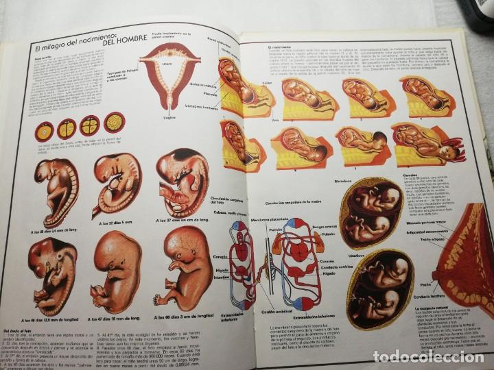 Libros de segunda mano: PRODIGIOS DE LA NATURALEZA C&Iacute;RCULO DE LECTORES 1976 TAPAS DURAS - Foto 7