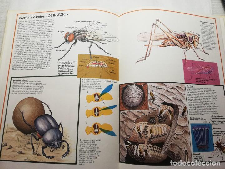 Libros de segunda mano: PRODIGIOS DE LA NATURALEZA C&Iacute;RCULO DE LECTORES 1976 TAPAS DURAS - Foto 8