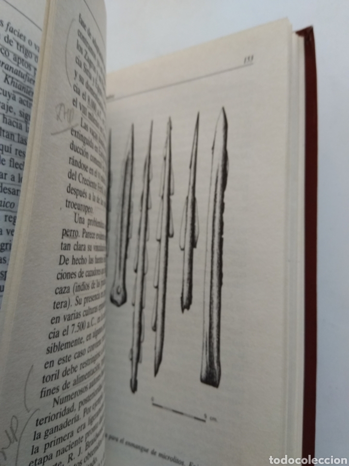 Libros de segunda mano: EL ORIGEN DEL HOMBRE/ALFONSO MOURE - Foto 3
