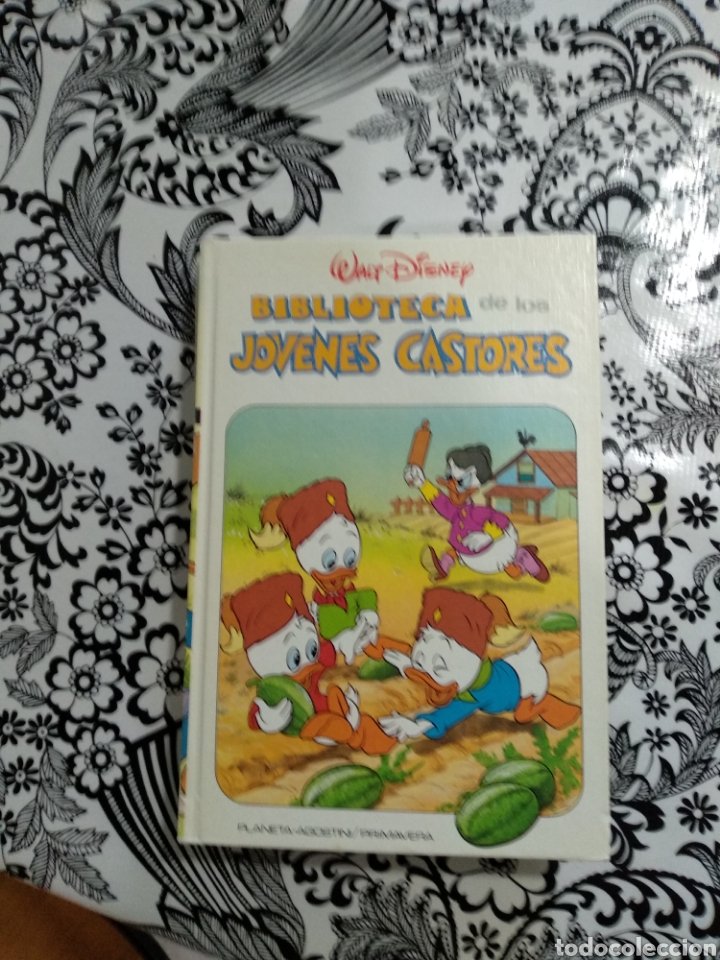 Libros de segunda mano: Biblioteca de los j&oacute;venes castores 26 tomos de 30 - Foto 2