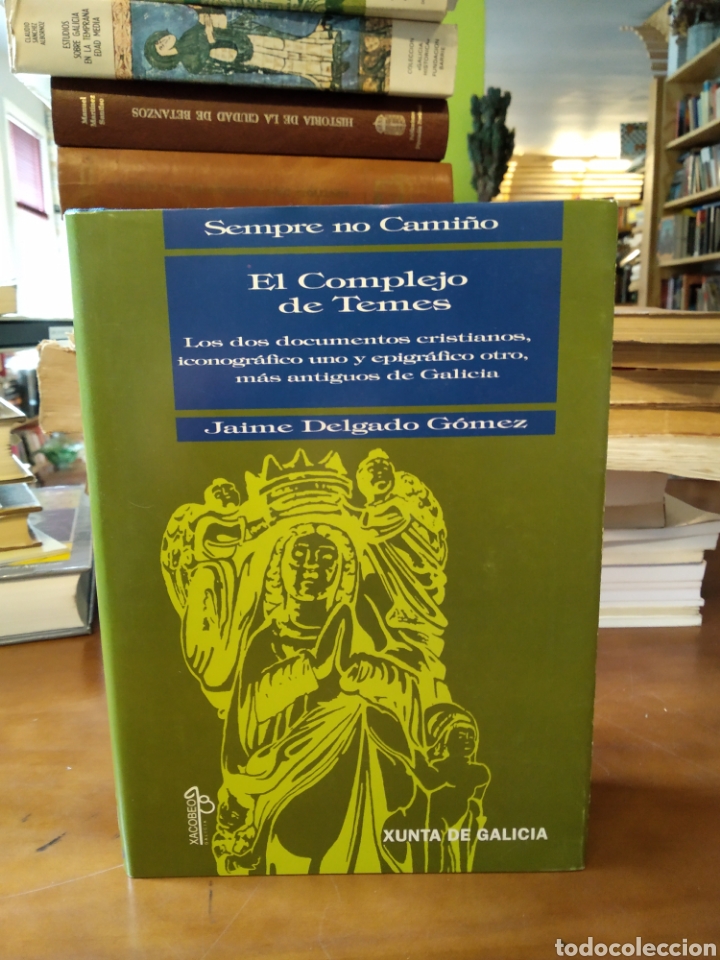 Libros de segunda mano: EL COMPLEJO DE TEMES. JAIME DELGADO G&Oacute;MEZ - Foto 1