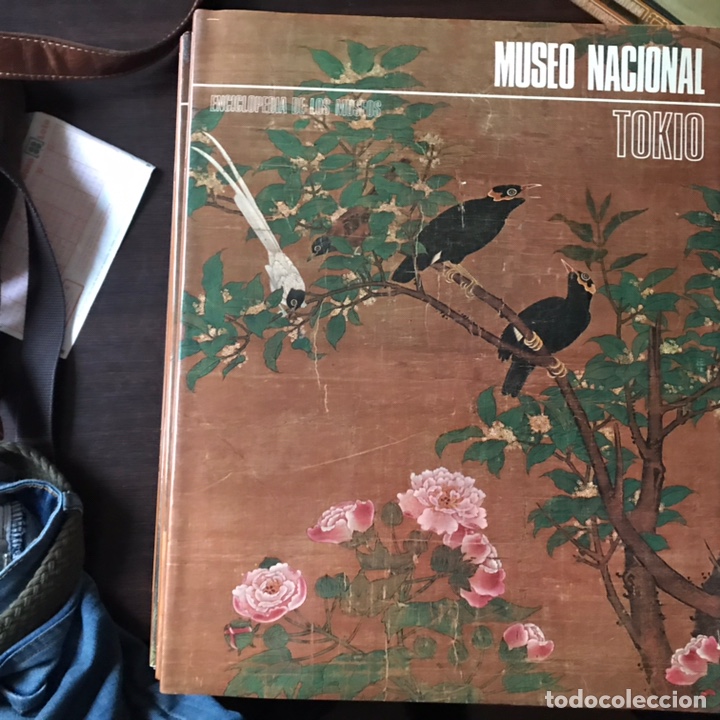 Libros de segunda mano: Enciclopedia de los museos. Argos Vergara. 14 libros. Como nuevos - Foto 27